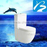 Ceramic S-trap P-trap Two-piece Toilet