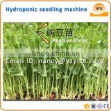 Automatic Grass Seeds Planting Machine, Wheat Bean Sprout Machine