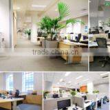 Guangzhou Chenglong Auto Oil Seal Co., Ltd. company overview - view 3 thumbnail