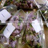 Microwave Flower Dryer and Sterilization Equipment thumbnail-4