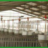 Pig Feeding Equipments / Automatic System thumbnail-3