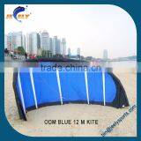 Kitesurfing Kite thumbnail-2