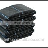 China high quality woven polypropylene geotextiles fabric with NTPEP ctification