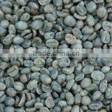 Arabica Green Coffee thumbnail-1