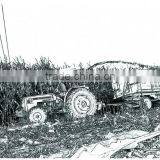 New Design Hot Sale Tractor PTO Drived Corn Maize Harvester With Top Quality thumbnail-2