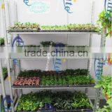241 Shelf for the Flower and Pot Plant Trolley Shelf for Pool Rack Shelf for Pot Plant Trolley thumbnail-1