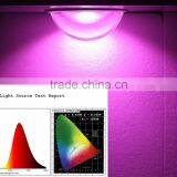 Led Cob Grow ,50w Full Spectrum Cob,grow Led Chip thumbnail-2