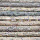 12 Pcs Pine Coloring Pencil, 12 Nature Wooden Coloring Pencil, 12 Pieces Eco-Friendly Color Pencil thumbnail-5