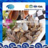 Frozen Boiled Baby Clam Instant Seafood On Table thumbnail-1