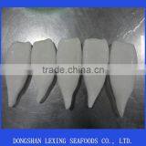 Frozen Todarodes Pacificus Squid Tube
