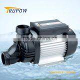 WPP750E 600w High Quality Swimming Pool Pump thumbnail-1