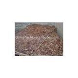 OSB (Abroad With E1 Grade thumbnail-2