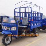 Gasoline Tricycle Cargo Loader Lovol Three Wheeler Mali Ethiopia Ghana Bukina Faso Tanzania Kenya Senegal Togo Benin Nigeira Mauritania Angola Burundi Chad Cameroon C ô te D'Ivoire Gabon Guinea Mozambique Rwanda Congo Uganda Zimbabwe thumbnail-1