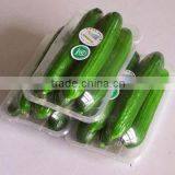 Quality Technology Vegetables Packing Machine With Servo Motor thumbnail-2