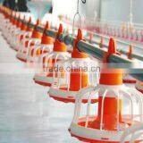 Automatic Feeding System for Broiler Chicken