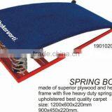 SPRING BOARD