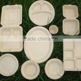 Eco Friendly Disposable Bamboo Fibers Tableware thumbnail-1