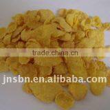 Corn Flakes Breakfast Cereals Plant