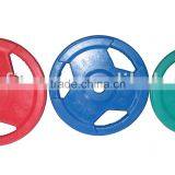 colored Olympic weight plate