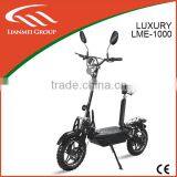 1000W Electric Scooter with CE LME-1000