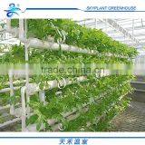 Hot Sale Plastic Film Greenhouse, Vegetables Greenhouse thumbnail-6