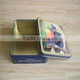 Rectangluer Parrot Tin Box for Cookies