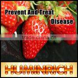 Huminrich 100% Water Soluble Organic Potassium Humate Best Fertilizer For Strawberry thumbnail-1