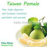 Fresh High Quality Pomelo thumbnail-2