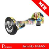 Smart Portable two wheel Electric Scooter with 700W Big Wheel RC (PN-A5)