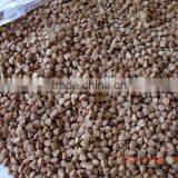 Chinese Roasted Buckwheat Kernel to GEORGIA AND RUSSIAN thumbnail-2