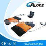 GPWA02 Digital Portable Axle Vehicle Weighing Scale