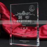 Custom Acrylic Award thumbnail-2