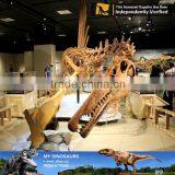 MY Dino-C048 Playground Dinosaur Skeleton of Spinosaurus thumbnail-5