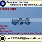 Rivet Nuts (with head printed pattern) (Furniture Fastener); M6, M8