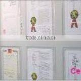 First Rank Co., Ltd. company overview - view 2 thumbnail