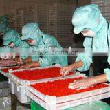 GOJI JUICE----11 Essential and 22 Trace Dietary Minerals thumbnail-2
