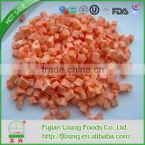 Freeze-dried carrot dice used in instant foods or restaurant
