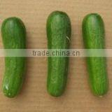 Vegetable Seeds thumbnail-3