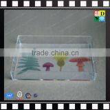 2017 New Product Cheap Clear Acrylic Serving Tray Wholesale thumbnail-1