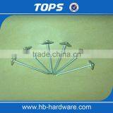 Smooth Shank Galvanized Roofing Nails/gal Roofing Nails thumbnail-6