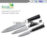 2017 New Technology 3.5 Inch Paring Knife Japanese VG10 Super Steel 67 Layer High Carbon Stainless Steel Razor Sharp thumbnail-6