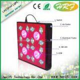 High Power Full Spectrum Grow Light Led Greenhouse Used Indoor Growing Led Grow Light thumbnail-1