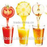 Whole Big Mouth Fruit and Smooth Drinks Masticating Slow Juicer thumbnail-4