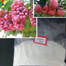 Hot Sale Agriculture Related Products 6-Furfurylaminopurine 99%TC Fertilizer Kinetin 6kt thumbnail-3