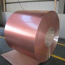 China Quality Pre-Painted Galvanized/Galvalume Iron Steel Coils Color Steel Coil on Hot Sale thumbnail-1