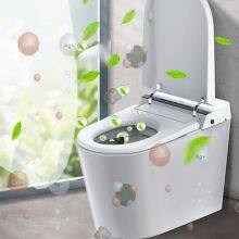 Household Water Disinfection Equipment, Bathroom Shower Water Treatment Equipment, Household Water Sterilization and Disinfection Equipment thumbnail-4