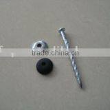 Roofing Nail