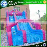 Giant Mickey Mouse Swimming Pool Water Slide Inflatable Slide for Pool Supplier's Choice thumbnail-1