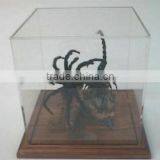 GH-RZ440 Made In China High Quality Customized Clear Transparent Acrylic Cover thumbnail-2