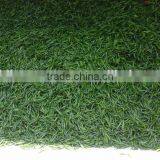 Fresh Green Chilli thumbnail-1